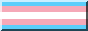 trans flag button